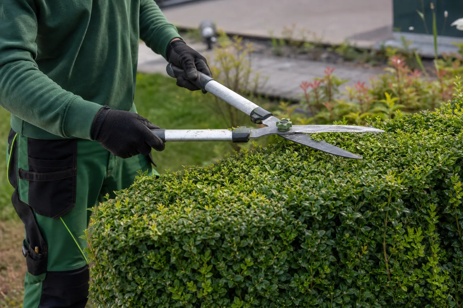 Servicios de Jardinería