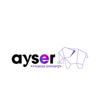 AYSER: Diseño Web, SEO y Marketing en Vitoria