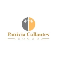 Patricia Collantes | Abogada en Derecho de Familia, Penal y Mediación.